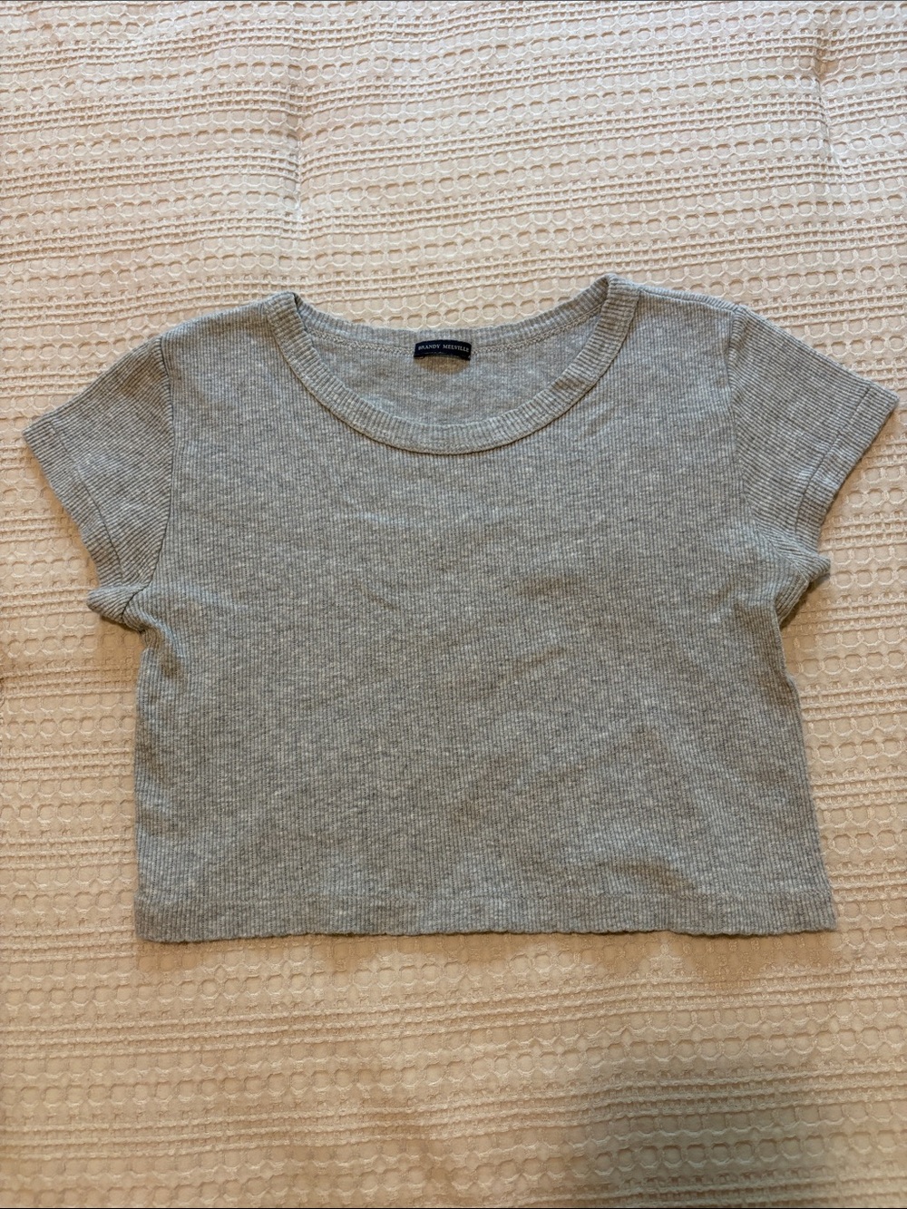 Brandy Melville Light Gray Ribbed Crop Baby Tee